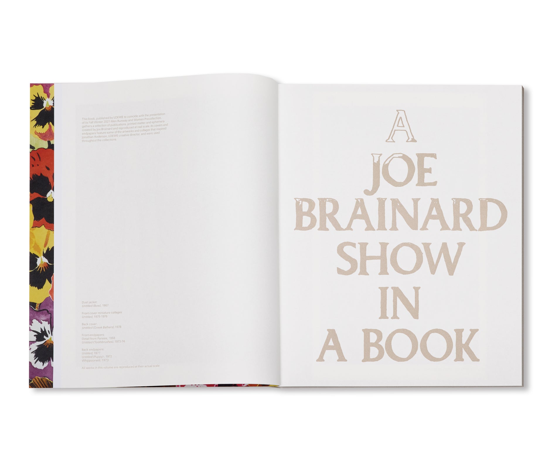 A JOE BRAINARD SHOW IN A BOOK by Joe Brainard