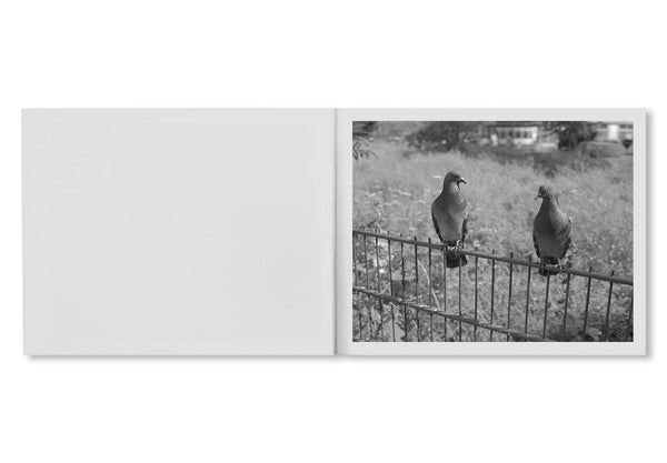 アート・デザイン・音楽 Mark Steinmetz: Berlin pictures Buy Berlin Pictures by Mark Steinmetz online – Setanta Books