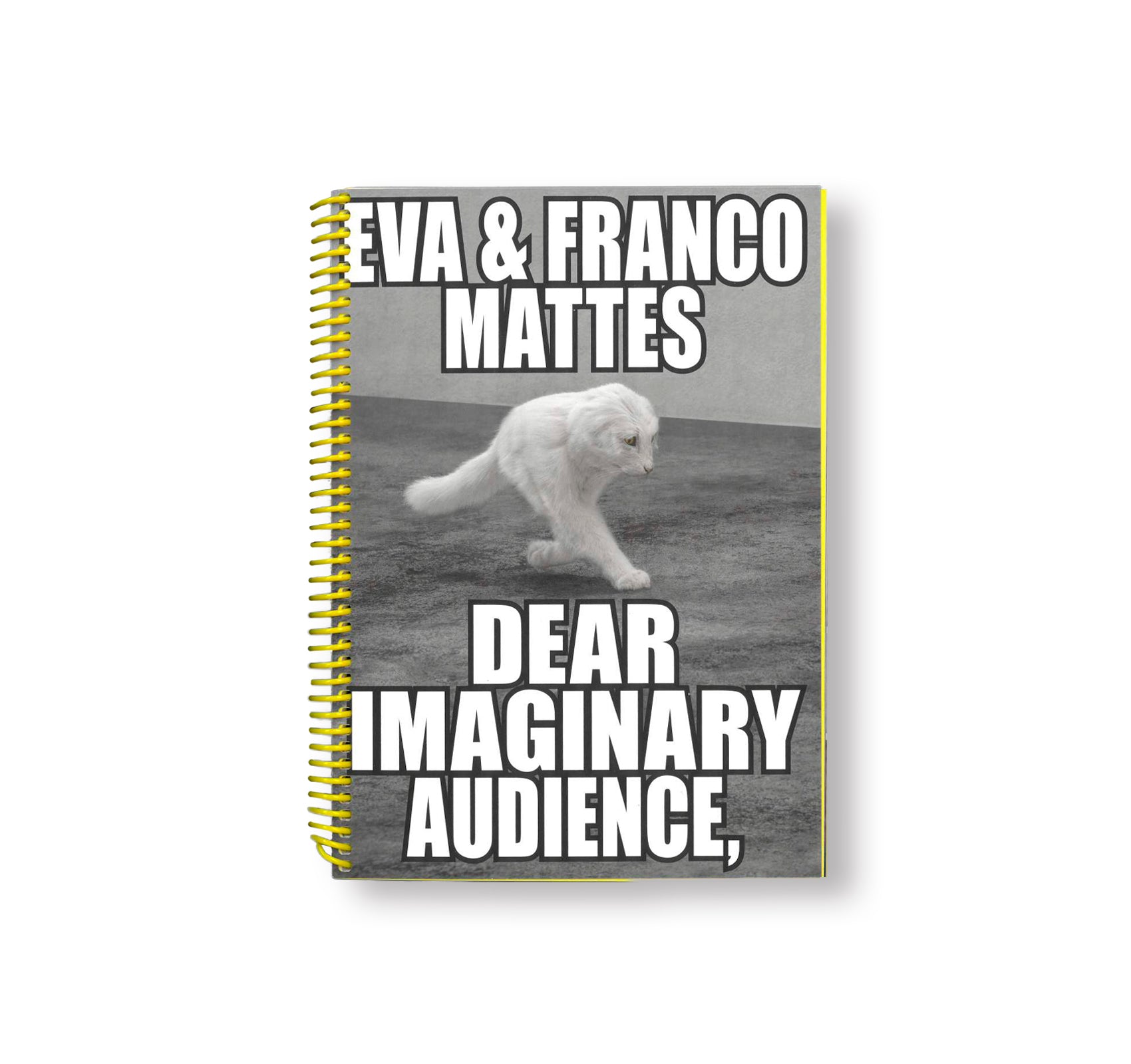 DEAR IMAGINARY AUDIENCE by Eva & Franco Mattes