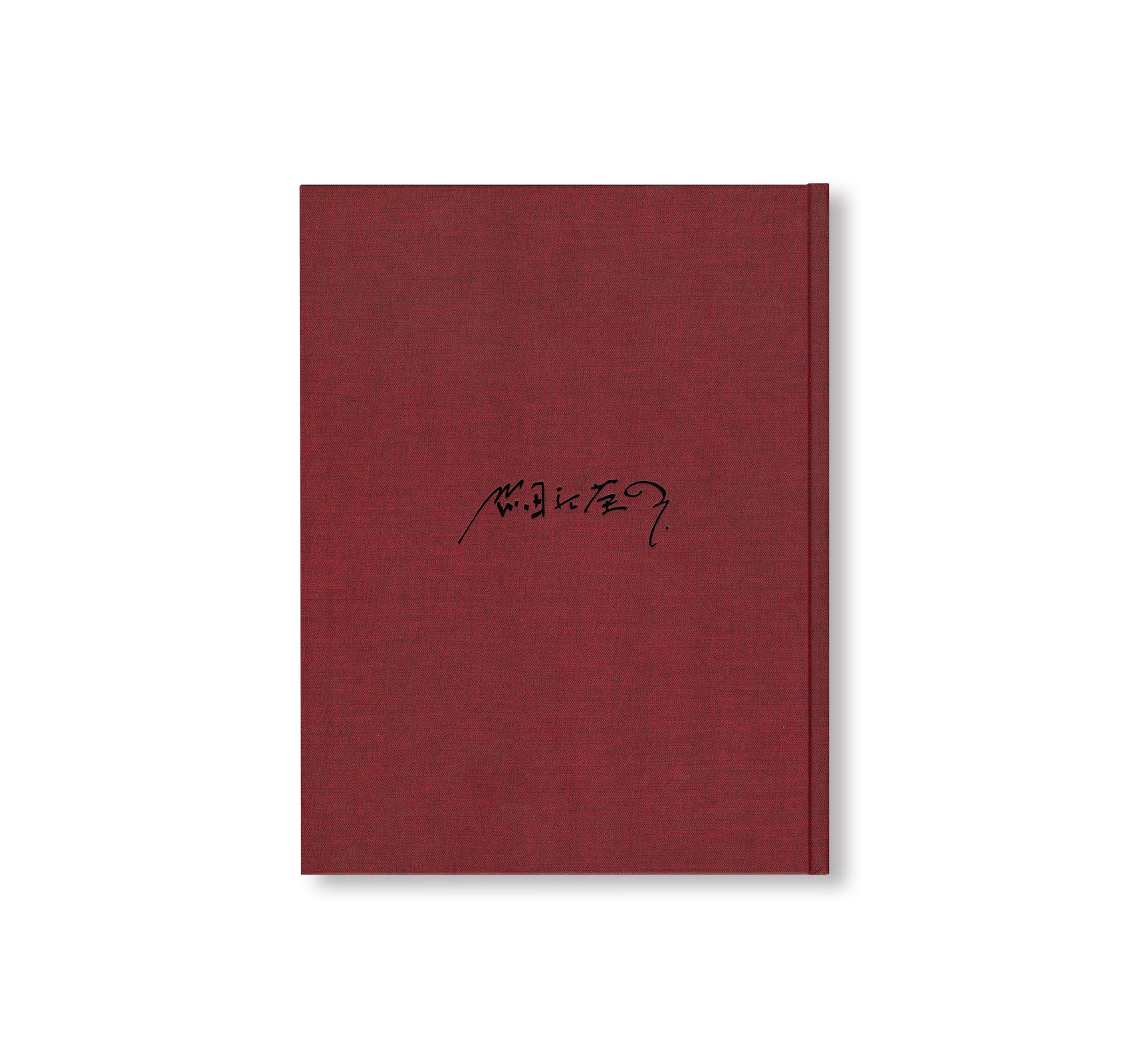 EIKOH HOSOE by Yasufumi Nakamori [JAPANESE EDITION]