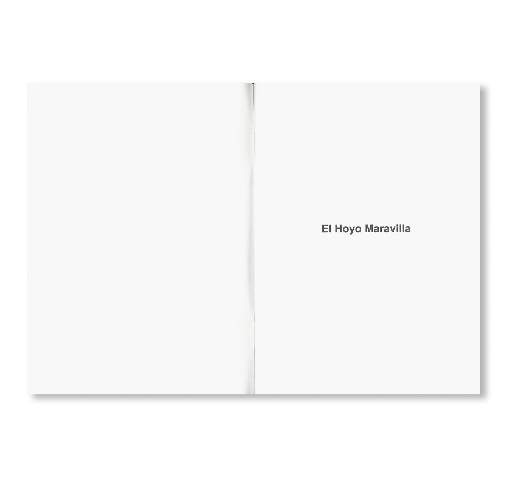 EL HOYO MARAVILLA by Janette Beckman