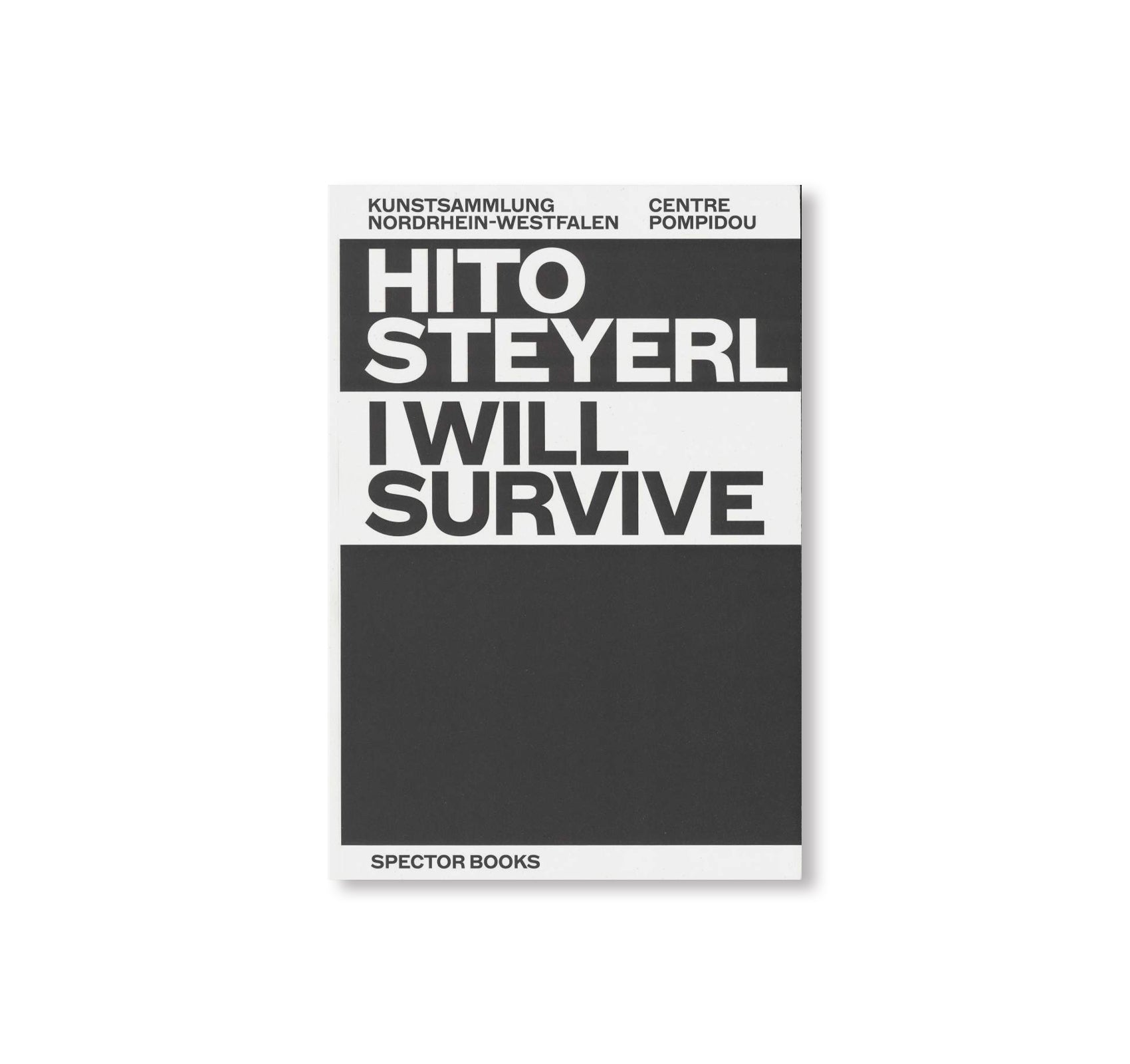 I WILL SURVIVE by Hito Steyerl