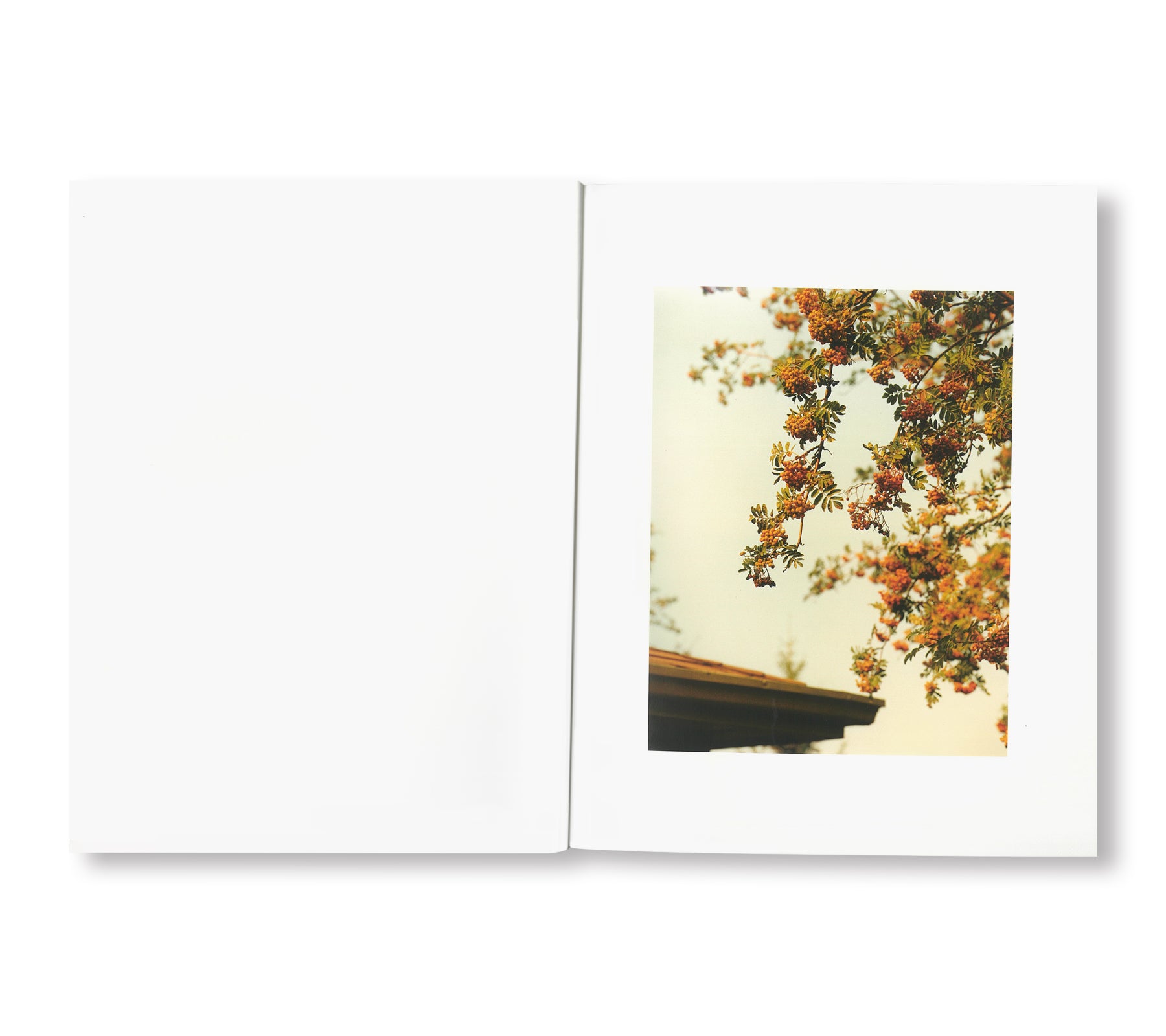 SPARE BEDROOM by Roe Ethridge [SIGNED]