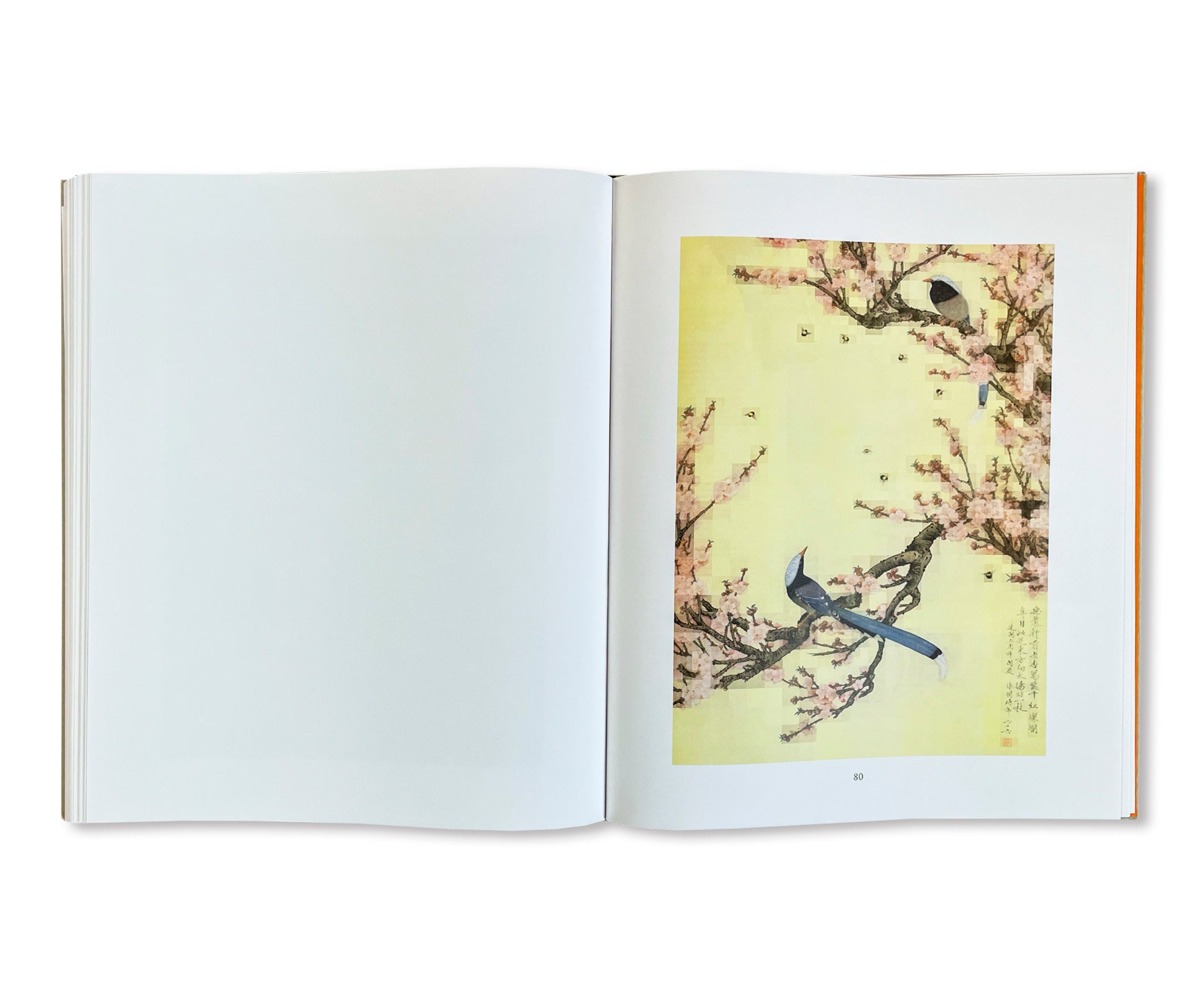TABLEAUX CHINOIS by Thomas Ruff [SPECIAL EDITION (SEEROSE)]