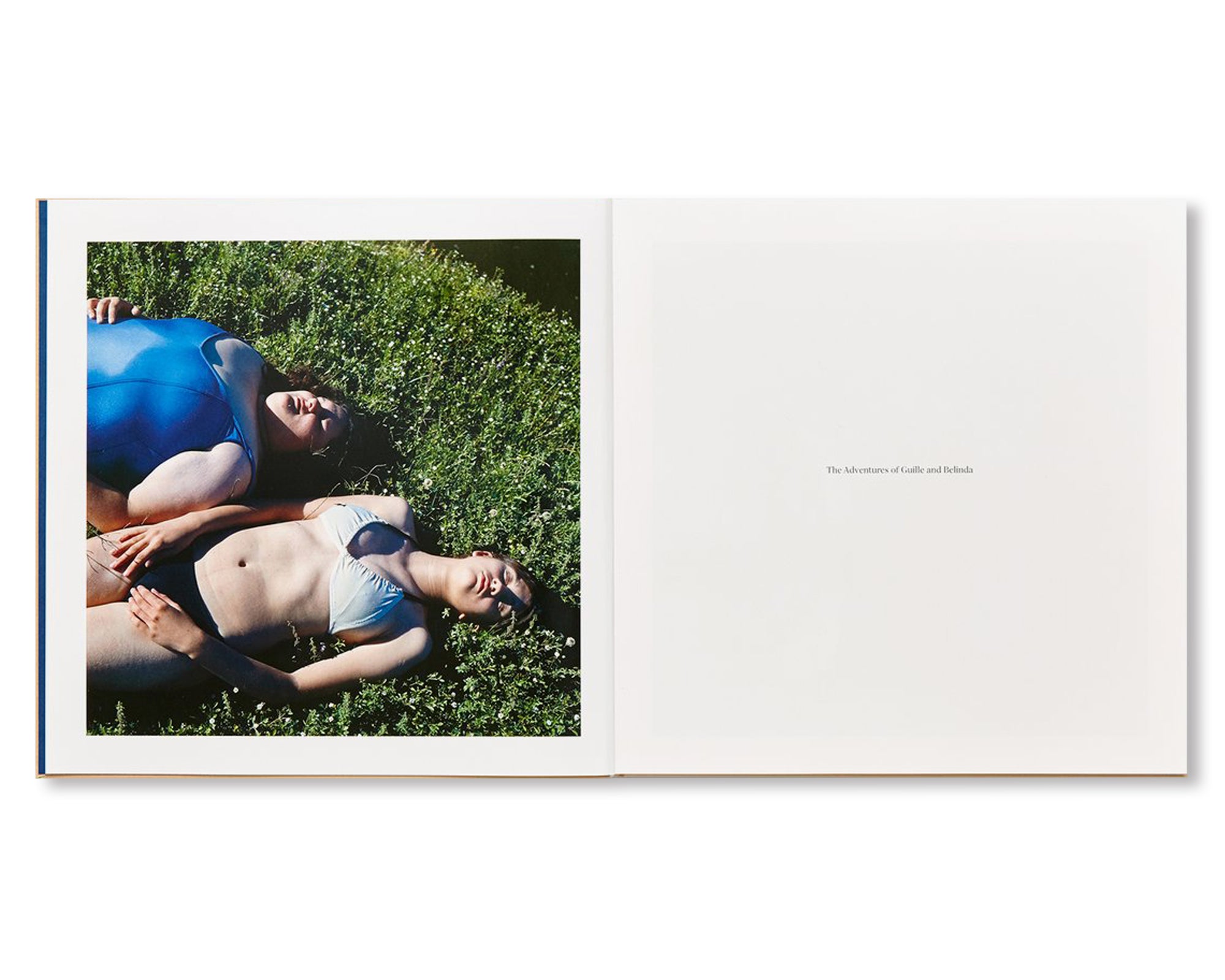 THE ADVENTURES OF GUILLE AND BELINDA AND THE ILLUSION OF AN EVERLASTING SUMMER by Alessandra Sanguinetti [SIGNED PLATE]