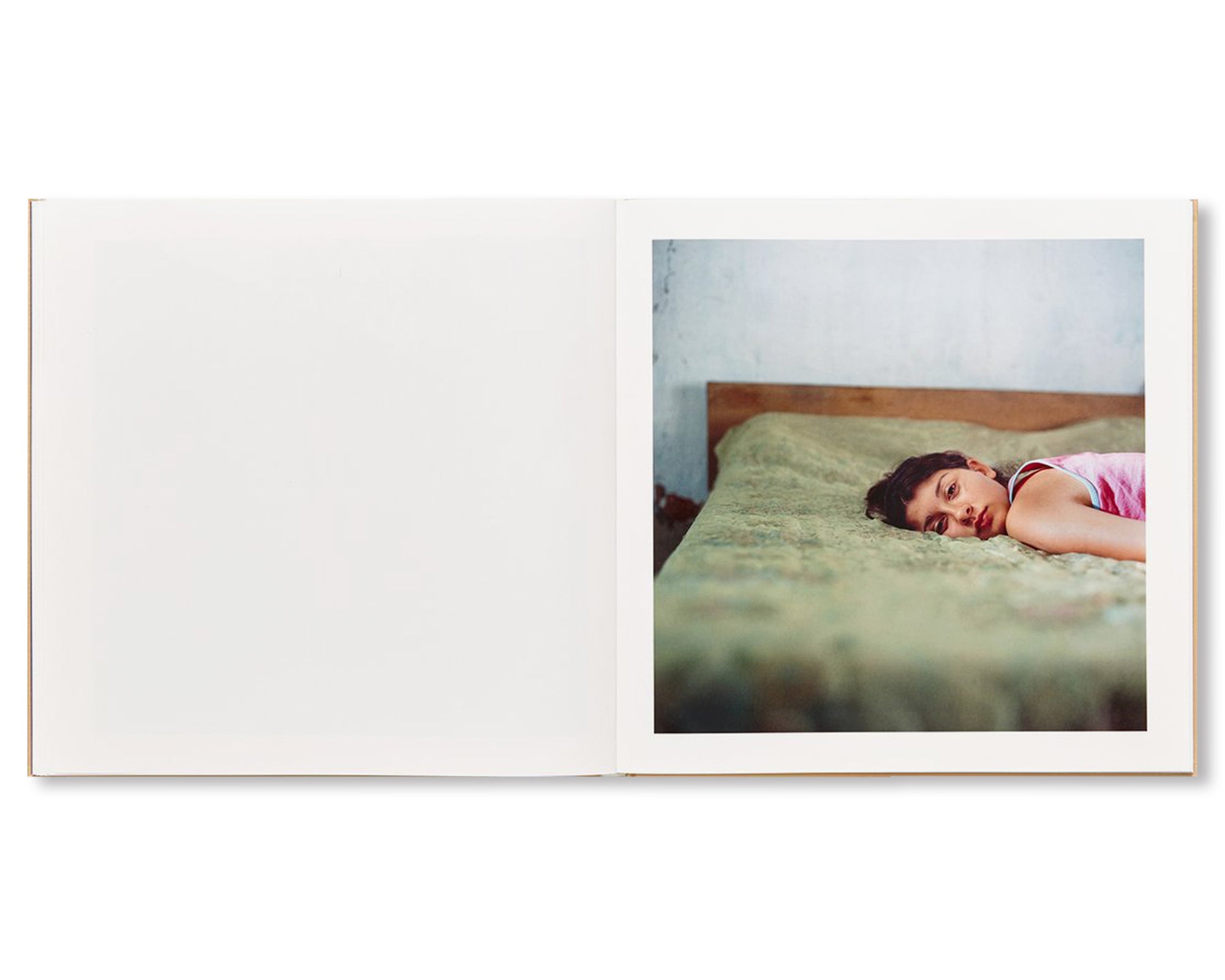 THE ADVENTURES OF GUILLE AND BELINDA AND THE ILLUSION OF AN EVERLASTING SUMMER by Alessandra Sanguinetti [SIGNED PLATE]