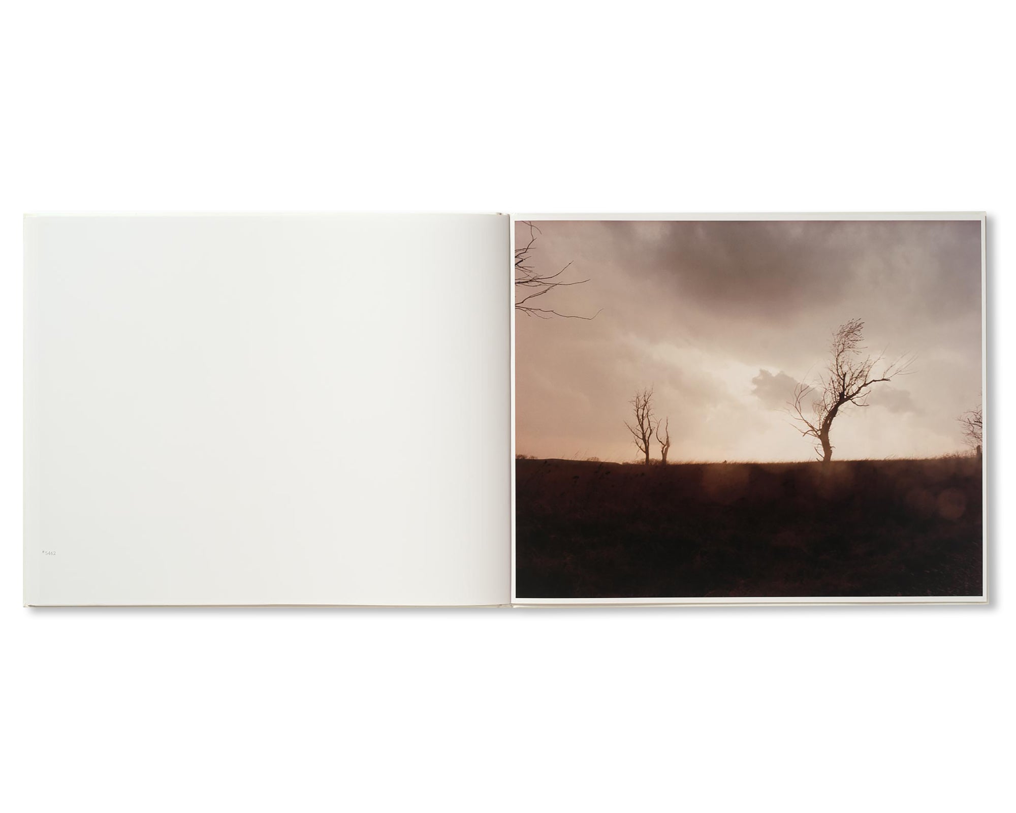 A ROAD DIVIDED by Todd Hido [SIGNED]