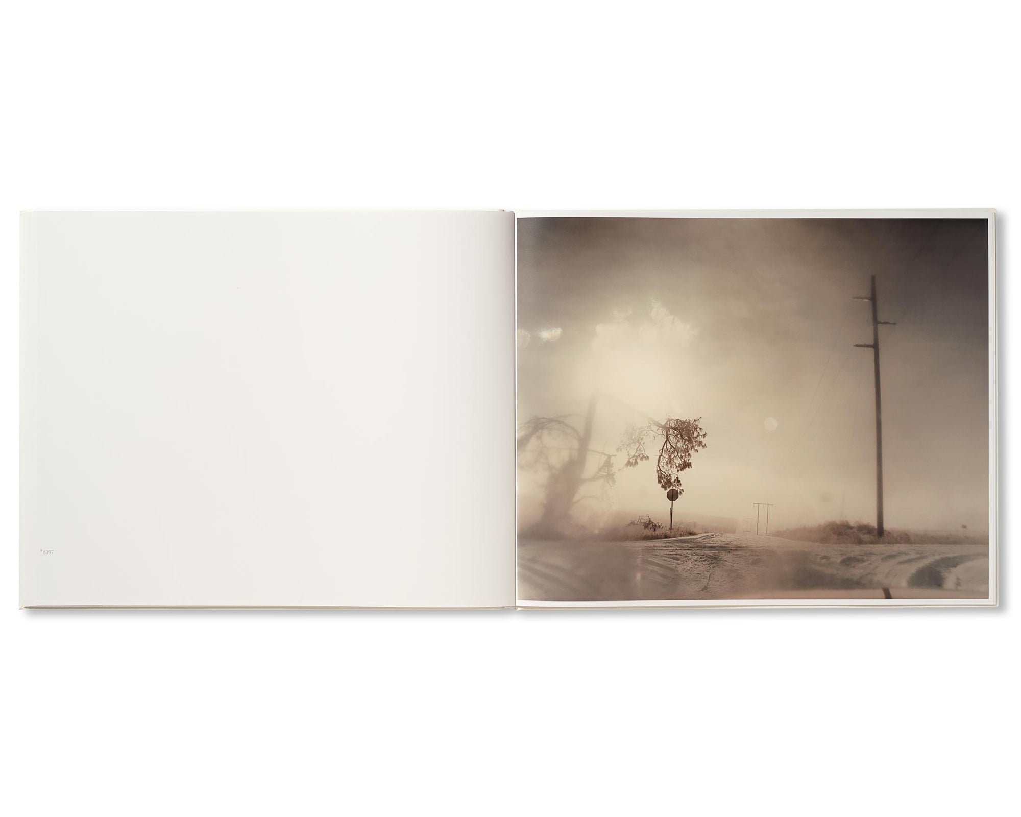 A ROAD DIVIDED by Todd Hido [SIGNED]