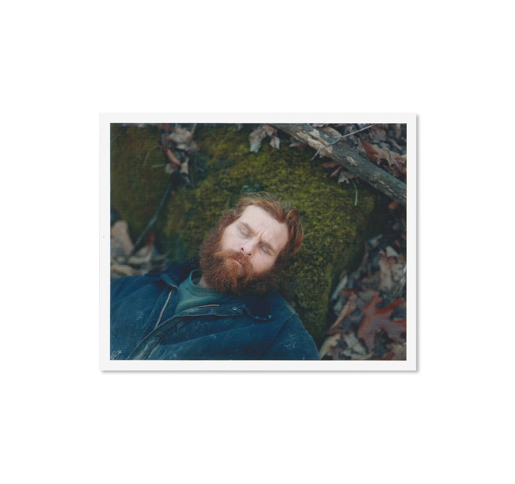 GATHERED LEAVES POSTCARDS by Alec Soth