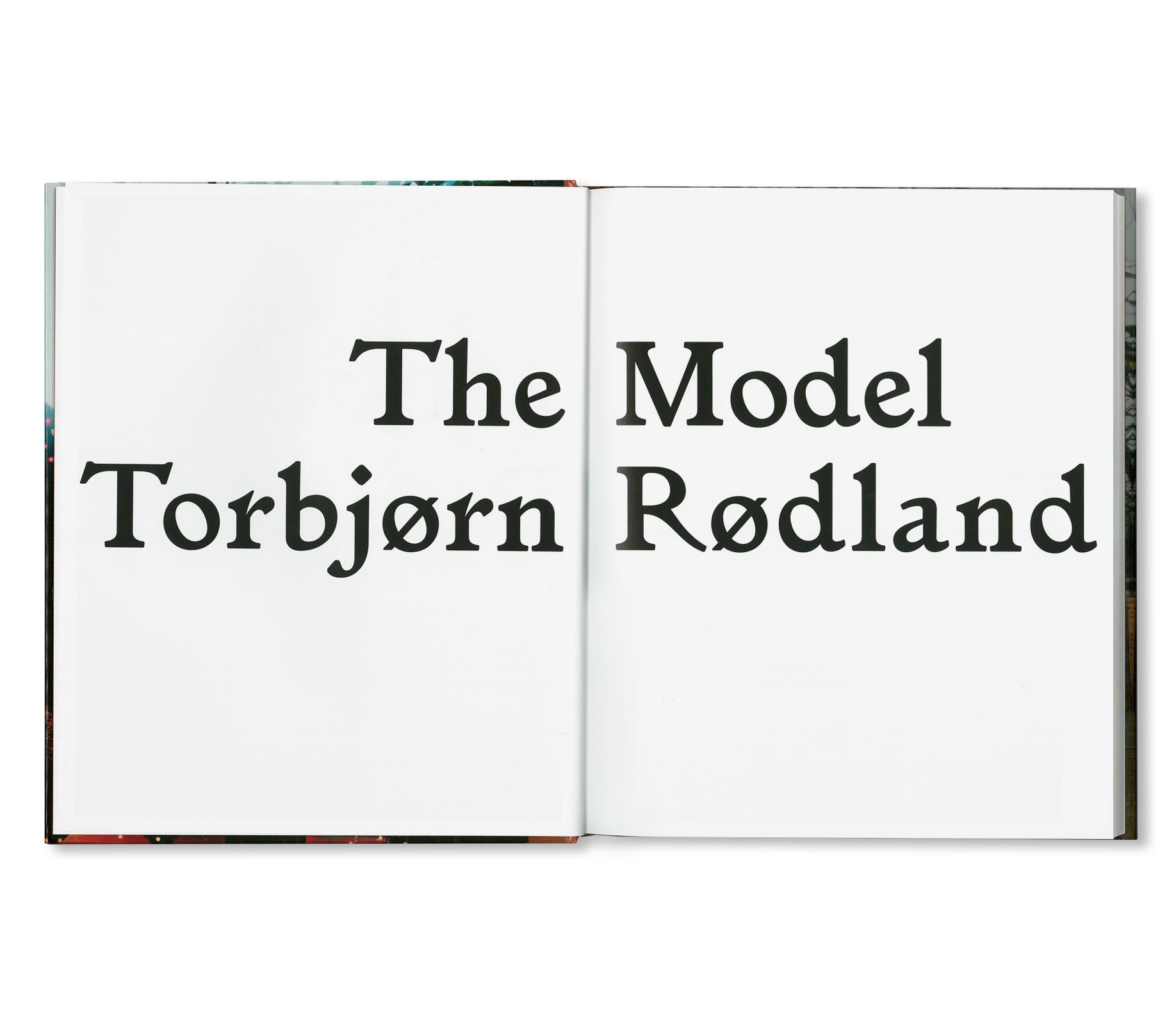 THE MODEL by Torbjørn Rødland