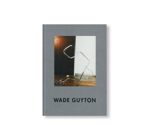 WADE GUYTON by Wade Guyton