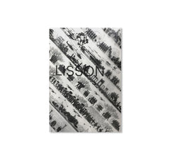 ARTIST | WORK | LISSON by Ai Weiwei [SPECIAL DIGITAL EDITION]