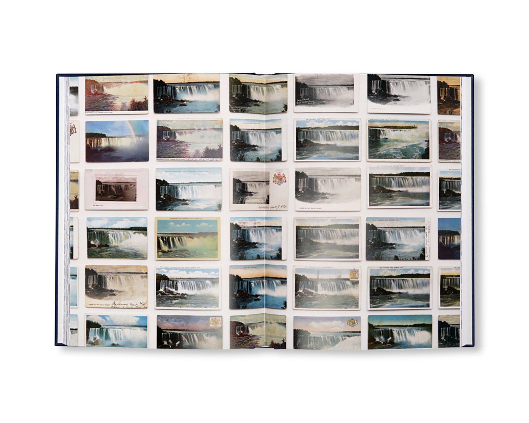 YOU SEE I AM HERE AFTER ALL by Zoe Leonard